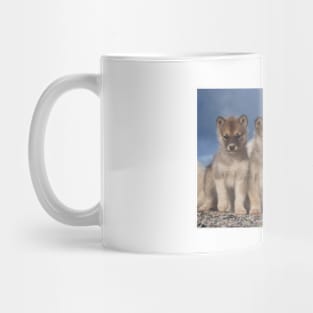 Baby Greenland Dogs Mug